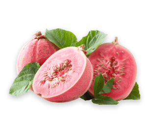 guava